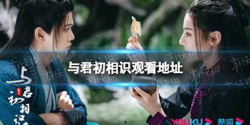 与君初相识影院23,一场跨越时空的浪漫邂逅