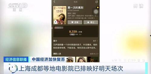 西瓜影院欧美理论片视频,欧美理论片深度解析，揭秘光影背后的秘密